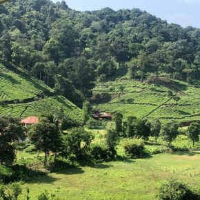 Janiro Tea Trees Villas